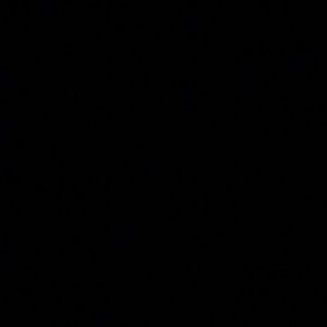 Meet your Posher, Irma